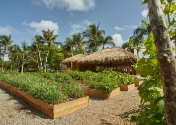 Grupo Piñero ha conseguido una reducción en el consumo energético por estancia en un 35%. | Fuente externa.