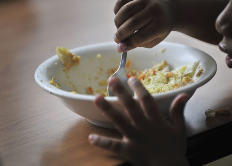 Subalimentación, seguridad alimentaria, inseguridad alimentaria