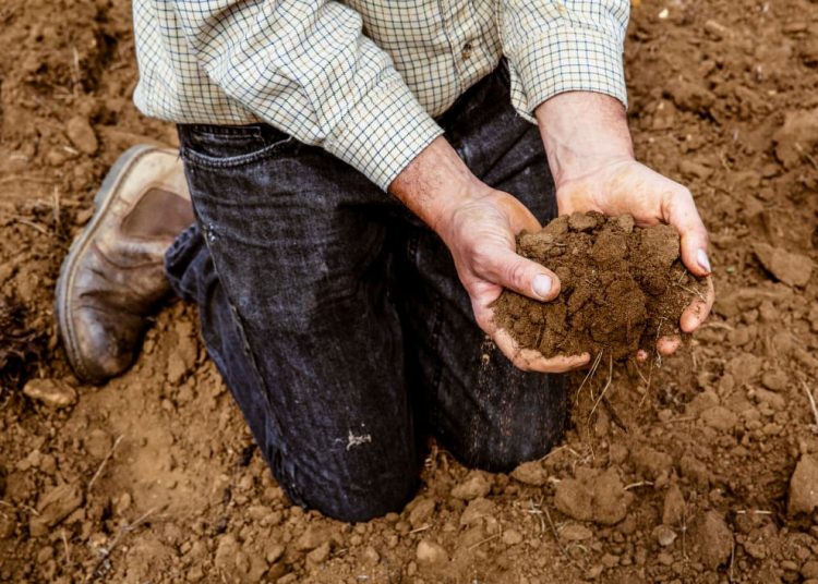 Syngenta Agricultores