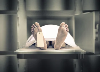 Los datos indican que la proporcionalidad de muertes por género se mantiene en aproximadamente 58.5% hombres y 41.5% mujeres. - Fuente externa.