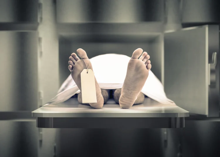 Los datos indican que la proporcionalidad de muertes por género se mantiene en aproximadamente 58.5% hombres y 41.5% mujeres. - Fuente externa.