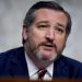 El senador republicano por el estado de Texas, Ted Cruz. | Andrew Harnik, AP.