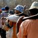 Trabajo forzoso Perú