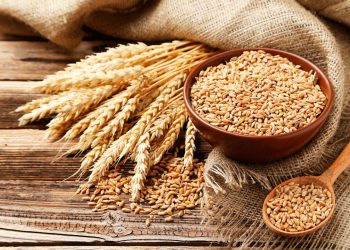 Trigo. | Fuente externa.