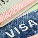 Las aprobaciones de visa han aumentado 70 mil en comparación con 2019.