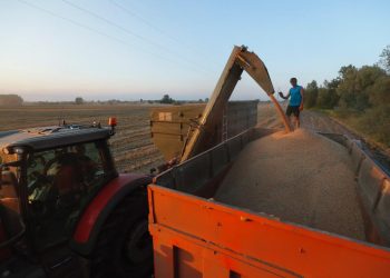 Un agricultor observa cómo una cosechadora vierte grano en un camión en un campo cerca de Kiev, Ucrania. |  EFE