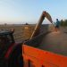 Un agricultor observa cómo una cosechadora vierte grano en un camión en un campo cerca de Kiev, Ucrania. |  EFE