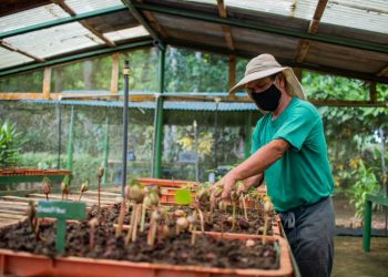 El proyecto “Un futuro para la Sierra”, es un trabajo en conjunto con La Loma Macadamia, el Consorcio Ambiental Dominicano y el sector privado para disminuir la degradación ambiental de la Sierra, un ejemplo de cómo las alianzas público-privadas son una estrategia favorable para la preservación de la biodiversidad.