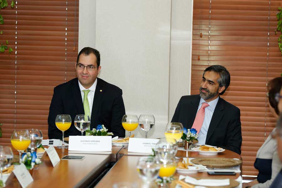 Gustavo Vergara y Gabriel Tineo.