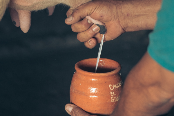 Vaca de ordeño producción leche