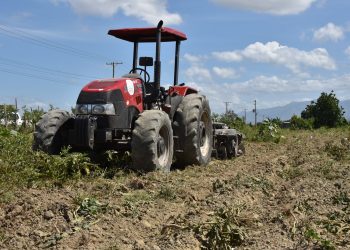 Agricultura dice que esta disposición busca cortar con el ciclo de vida de ambos insectos.