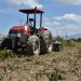 Agricultura dice que esta disposición busca cortar con el ciclo de vida de ambos insectos.