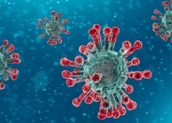 Aunque los virus de ARN suelen asociarse a enfermedades humanas, también se encuentran en entornos extremos de todo el mundo.- Fuente Externa.