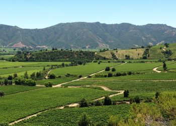 Vista panoramica de un paisaje rural en la region de OHiggins Chile. Fuente externa.