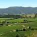 Vista panoramica de un paisaje rural en la region de OHiggins Chile. Fuente externa.