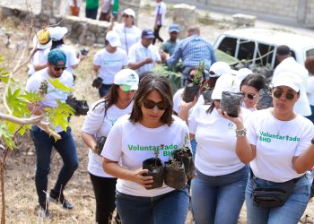 La canelilla fue sembrada por empleados que integran el voluntariado corporativo del BHD.