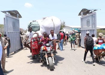 En septiembre pasado la baja en las ventas locales a los haitianos fue de -30%, mientras que en octubre el desplome fue mayor (-66.3%). - Fuente externa.