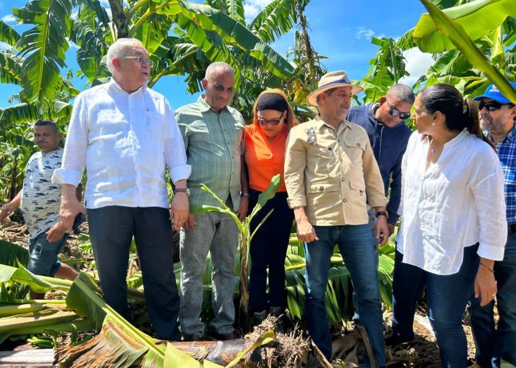 Ministro de Agricultura, Limber Cruz, durante visita en Azua. - Fuente externa.