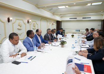 Parte de los integrantes del Conassan, durante la sesión de este martes en el Palacio Nacional. - Fuente externa.