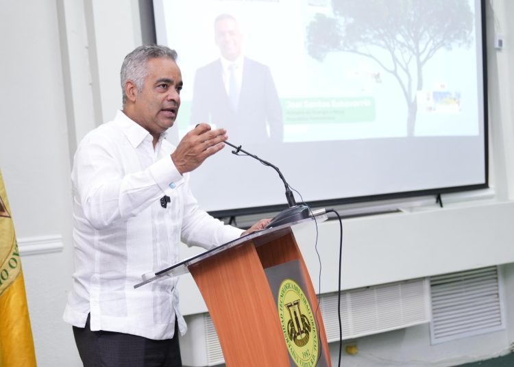 Joel Santos, ministro de Energía y Minas. - Fuente externa.