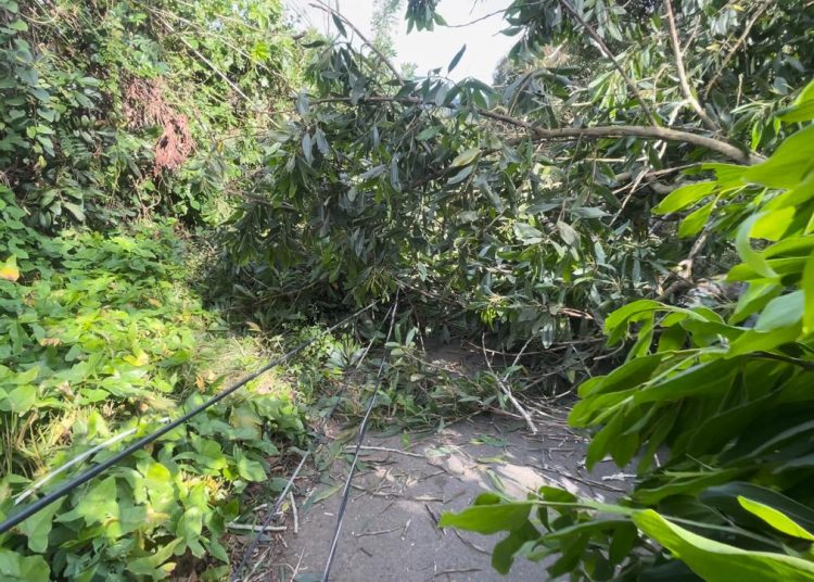 Edeeste recuerda que estas acciones genera costos operativos y de materiales para la empresa y el Estado.