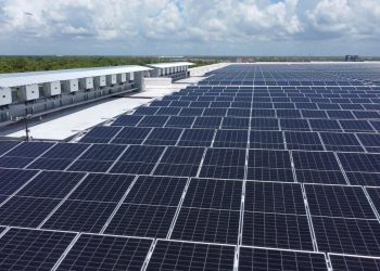 Los paneles solares instalados en la Nave 7 permitirán un ahorro energético estimado del 15% en las operaciones de la empresa.