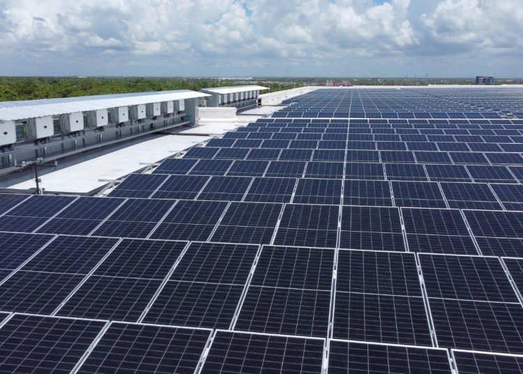 Los paneles solares instalados en la Nave 7 permitirán un ahorro energético estimado del 15% en las operaciones de la empresa.