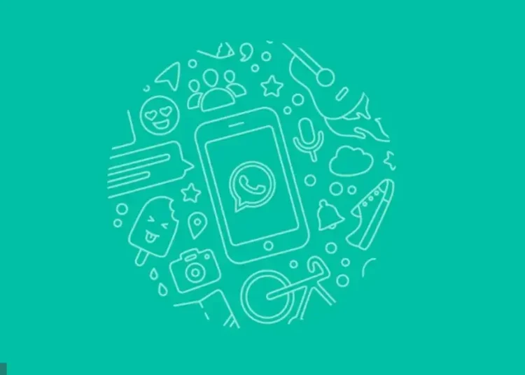 Esta novedad se ha visto en la versión 2.24.11.17 de la beta de WhatsApp para Android, y llegará en una futura actualización.