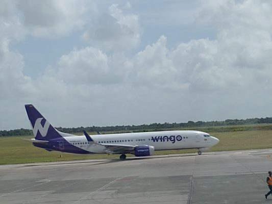 Wingo