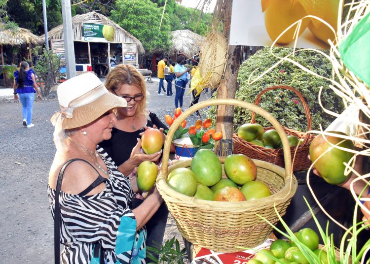 Feria Ecoturística y de Producción. - Fuente externa.