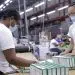 El sector zonas francas en República Dominicana se destaca como un modelo inclusivo que fomenta la participación femenina.