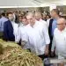 El gobernante destacó que con la puesta en marcha de esta iniciativa se favorece a los consumidores y los productores.