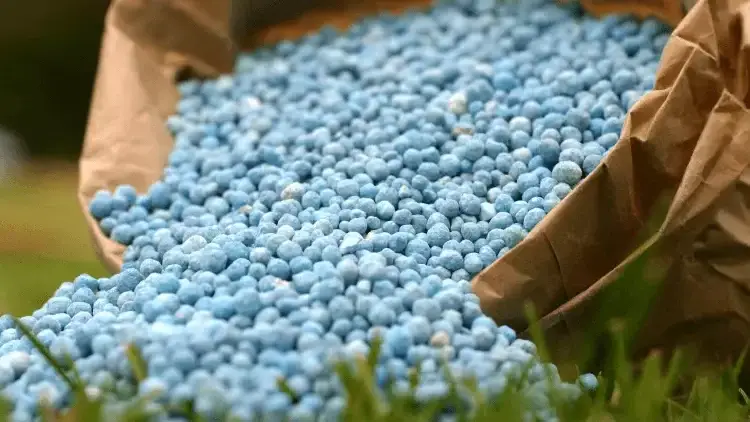 En términos globales, República Dominicana se posicionó como el importador número 84 más grande de fertilizantes en 2023, con importaciones valoradas en US$157 millones.