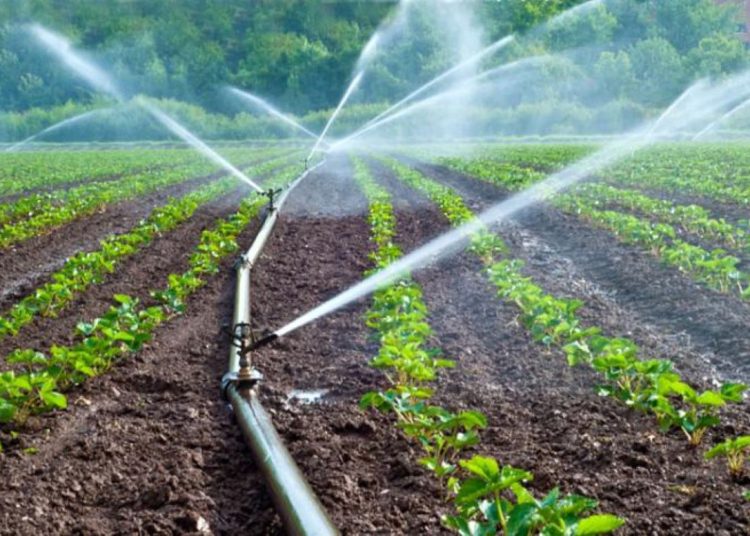 El documento indica que la distribución del agua destinada a la agricultura continúa siendo desigual.
