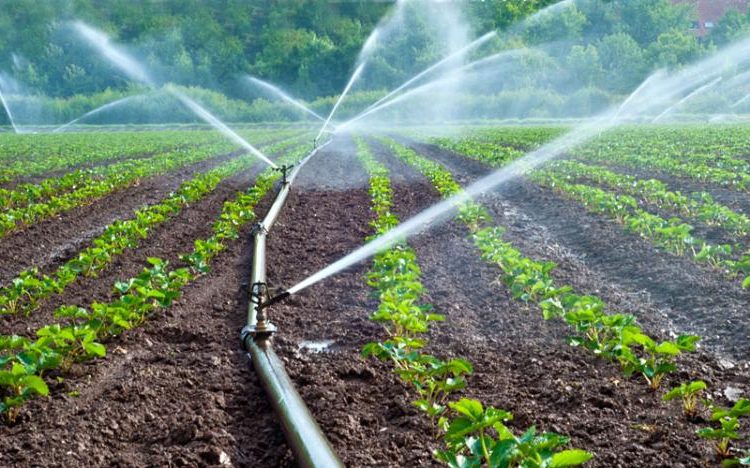 Llamó a fomentar un uso eficiente del agua para mejorar la productividad agrícola.