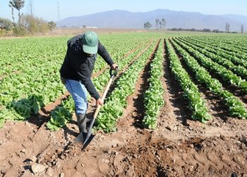 Los altos funcionarios también discutieron cuáles son los caminos para destrabar los fondos de los organismos internacionales de financiación climática. Fuente externa.