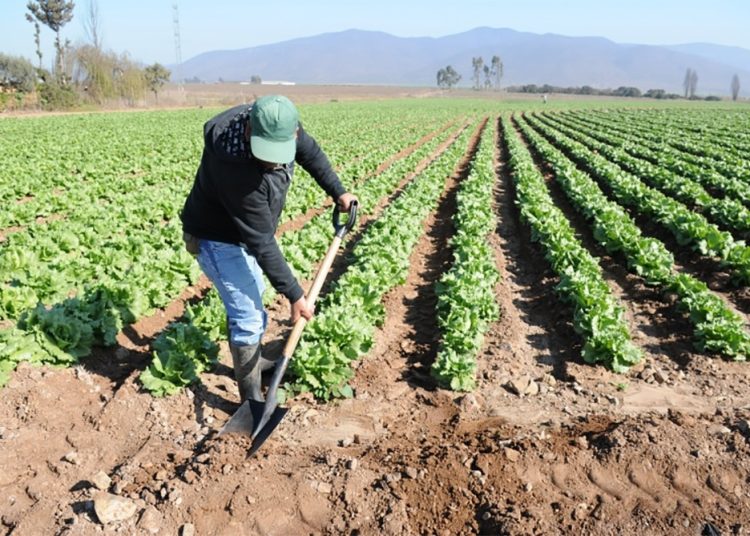Los altos funcionarios también discutieron cuáles son los caminos para destrabar los fondos de los organismos internacionales de financiación climática. Fuente externa.