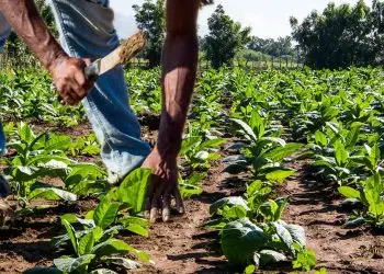 Este es el mayor registro de los últimos seis años, consolidando una tendencia de recuperación tras las variaciones registradas desde 2017.