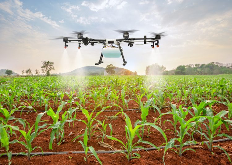 A nivel global, Europa lidera en patentes de agricultura digital.