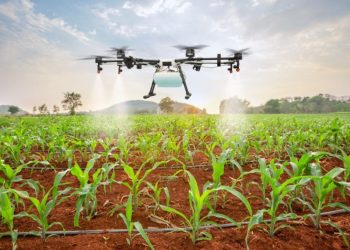 El presidente de la Asociación de Médicos Veterinarios de Colombia, Oscar Ospina, favorece digitalización para medir en tiempo real la composición nutricional de los pastos.