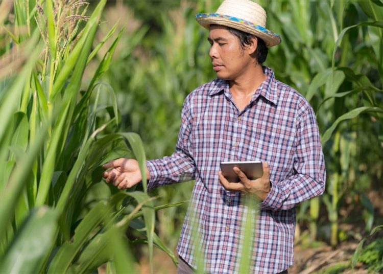 La tecnología en la agricultura incluye vehículos, robótica, satélites, drones, dispositivos móviles y software.