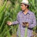 La tecnología en la agricultura incluye vehículos, robótica, satélites, drones, dispositivos móviles y software.