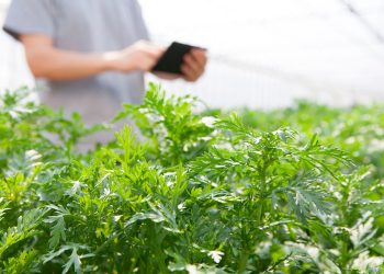 Los emprendedores están liderando transformaciones gracias a las tecnologías digitales.