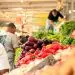 Productores agropecuarios temen que medidas de corte económico intensifiquen los desafíos de ese sector.