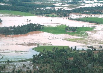 Los eventos climáticos mantienen al agro como una actividad de alto riesgo para la banca comercial.