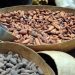 Republica Dominicana es uno de los principales productores de cacao en el mundo.