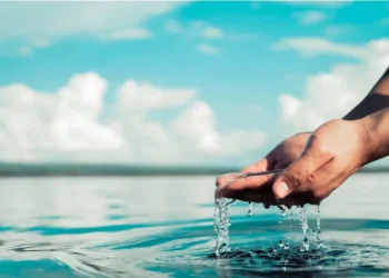 La nueva generación de ‘Aliados por el Agua’ está conformada por seis proyectos que realizarán acciones escalables que puedan implementarse en distintas zonas con estrés hídrico.