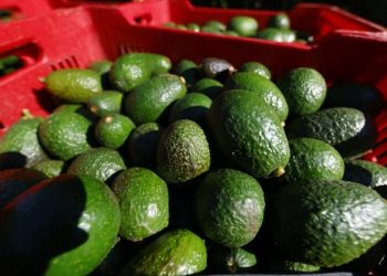 México registró un superávit comercial con Estados Unidos de aproximadamente US$160,000 millones, según cifras al cierre de 2024.