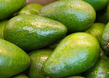 En 2022 se exportaron más de 55,000 toneladas métricas (TM) por un valor de US$78 millones. - Fuente externa.