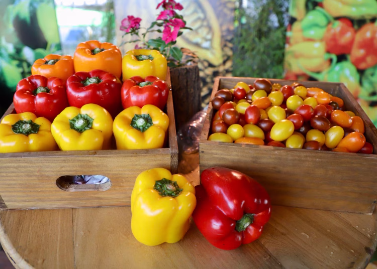Los ajíes y los tomates ocupan un lugar fundamental tanto en la gastronomía como en la producción agrícola nacional.